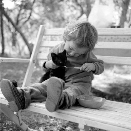 7d011fd3gw1eojt0ik0olj20c80c8wf2.jpg
